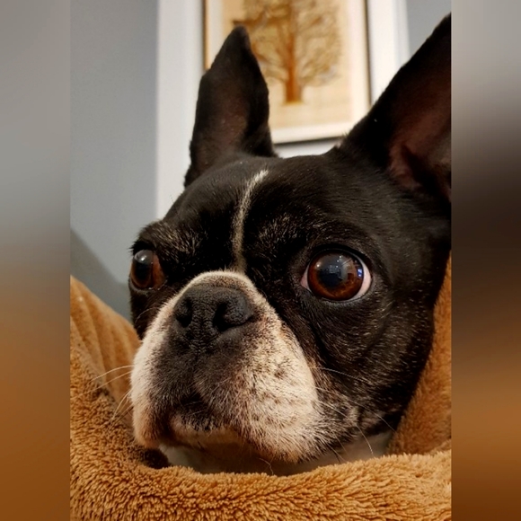 Meet your Posher, Lisa - Picture 1 of 1